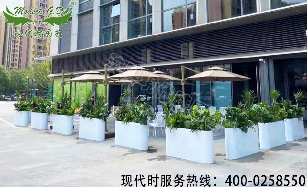 鐵藝組合花箱