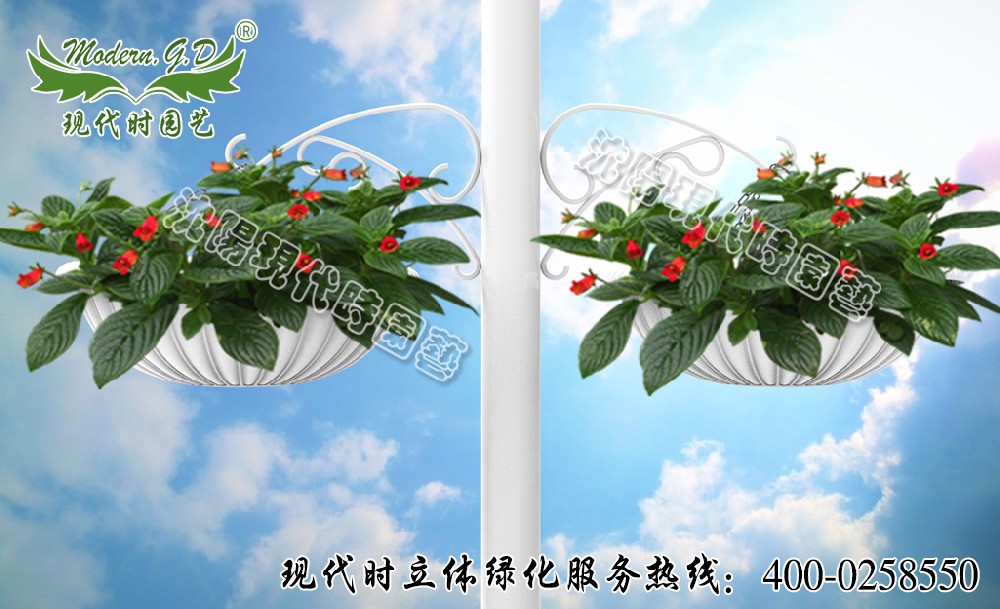 燈桿垂吊花盆