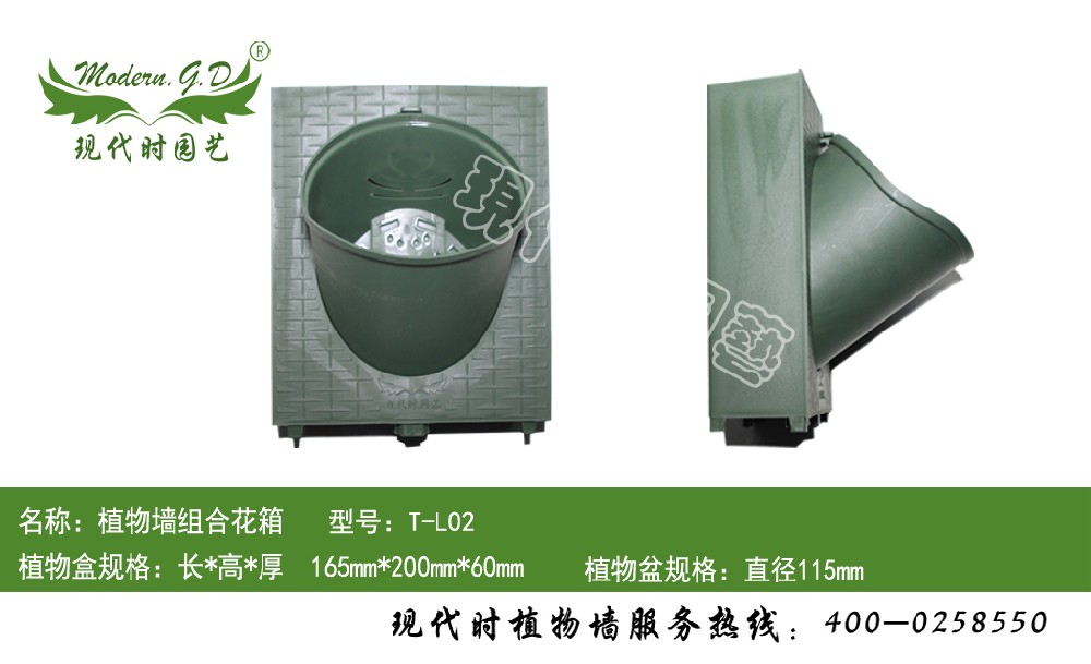 植物墻