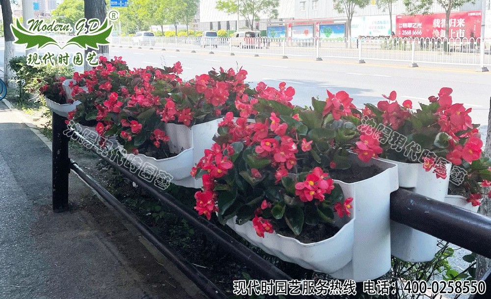 柵欄式花盆