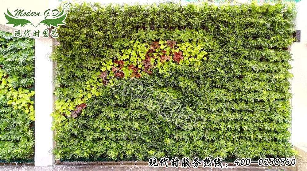 植物背景墻