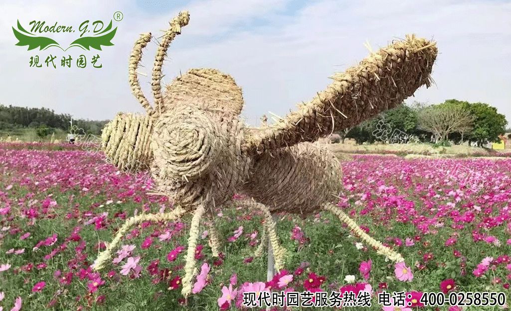 6_副本.jpg