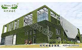 植物主題墻