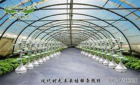 無土栽培自動化設備