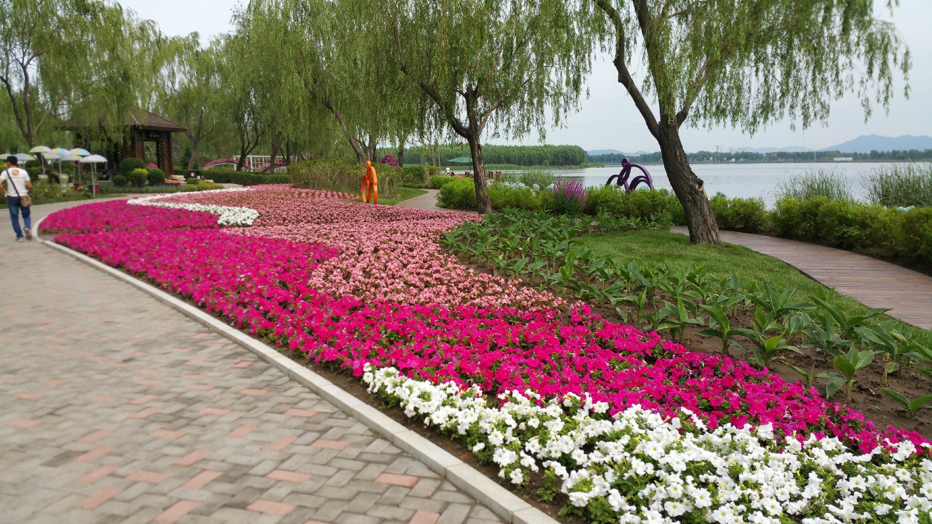 20150630_143128.jpg